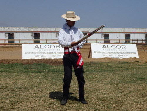 Peruvian Step Horse Show.